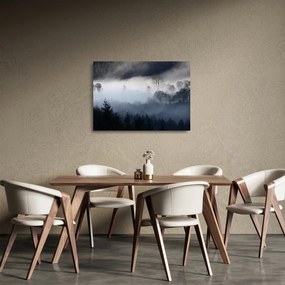 Obraz na szkle mgły nad lasem (70x50 cm)