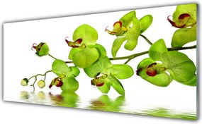 Dekor Szklany do Kuchni Kolorowy Ogród Botaniczny