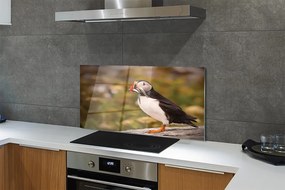 Panel Kuchenny Szklany Portret Barwnej Papugi