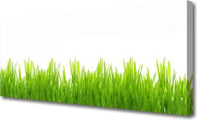 Zdjęcie na płótnie Soczysta Zieleń Polany