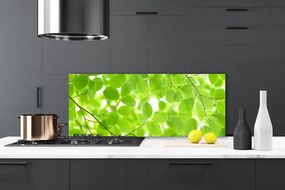 Panel Kuchenny Organiczne Formy Liści