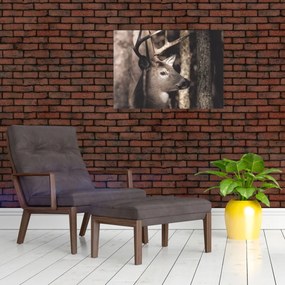 Obraz na szkle - Jeleń w lesie (70x50 cm)
