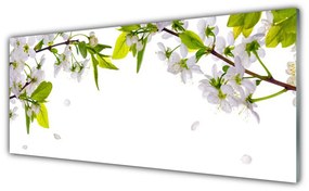 Obraz Akrylowy Płatki Natura