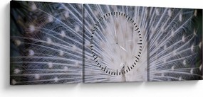 Obraz - Biały paw (z zegarem) (90x30 cm)