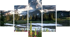 Obraz - Mount Rainier (125x70 cm)