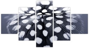 Obraz - Piórko (125x70 cm)