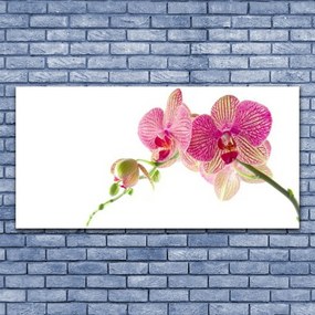 Obraz na płótnie Bukiet Polnych Kwiatów