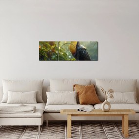 Obraz - Tukan (z zegarem) (90x30 cm)