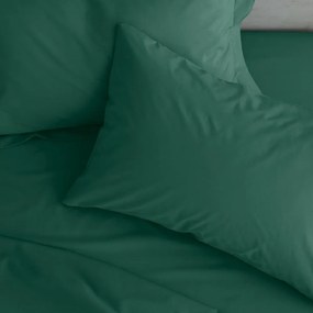 Poszewki na poduszki z perkalu zestaw 2 szt. 75x50 cm Easy Iron Percale – Catherine Lansfield