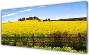 Szkło Ozdobne do Kuchni Bezkres Złocistych Pól