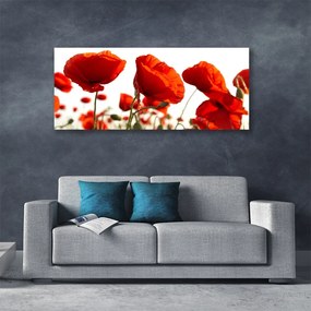 Fotoobraz na płótnie Czerwone Maki o Poranku