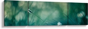 Obraz - Szczegół trawy (170x50 cm)