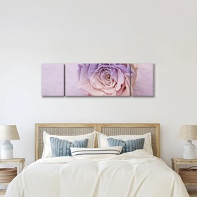 Obraz szczegółu kwiatu róży (170x50 cm)