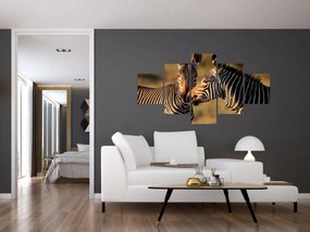 Obraz - Dwie zebry (125x70 cm)