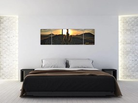 Obraz - kaktusy w słońcu (170x50 cm)