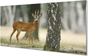 Szkło Ozdobne do Kuchni Król Lasu w Swoim Królestwie