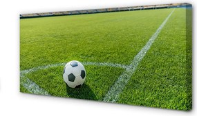 Zdjęcie na płótnie Stadionowa Arena Piłkarska