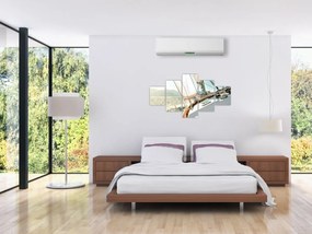 Obraz - Statek (125x70 cm)