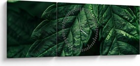 Obraz - Szczegół arkusza (z zegarem) (90x30 cm)