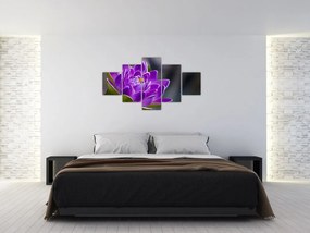 Obraz kwiatu (125x70 cm)