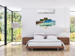Obraz - Czyste morze z palmą (125x70 cm)