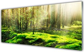 Panel Szklany do Kuchni Naturalny Zielony Mech