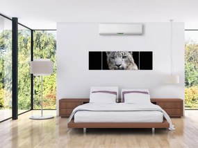 Obraz - Snow Leopard (170x50 cm)