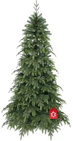 Świerk Natura 150 cm