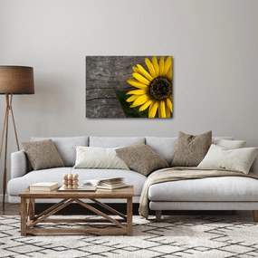 Obraz - Kwiat słonecznika (70x50 cm)