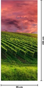 Fototapeta na drzwi - Winnica z kolorowym niebem (95x205cm)