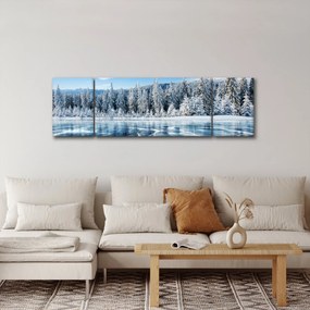 Obraz zamarzniętego jeziora i pokrytych śniegiem drzew (170x50 cm)
