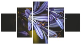 Obraz - Lilia (125x70 cm)