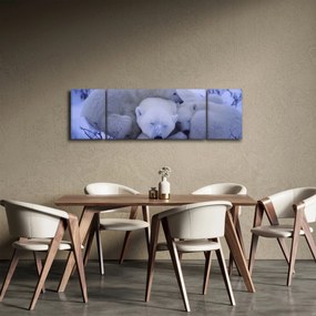 Obraz - Niedźwiadki polarne (170x50 cm)