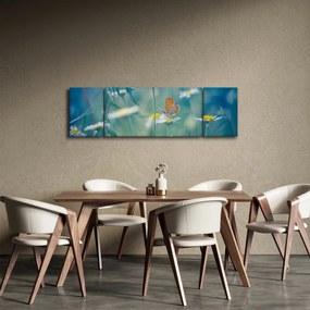 Obraz - Motyl na stokrotce (170x50 cm)