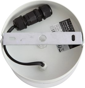 Nowoczesna lampa sufitowa biała z przezroczystym szkłem - Puck