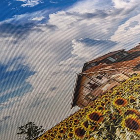 Obraz pola słoneczników (170x50 cm)