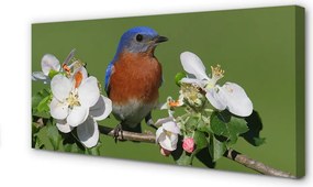 Duży obraz na płótnie Papuga wśród Kwiatów