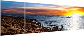 Obraz - Mewa lecąca nad wybrzeżem (170x50 cm)