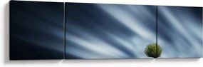 Obraz zorzy polarnej nad wrzosowiskami (170x50 cm)