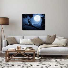 Obraz na szkle - Nocna Sowa (70x50 cm)