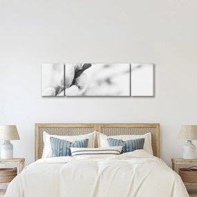 Obraz - Początek wiosny (170x50 cm)
