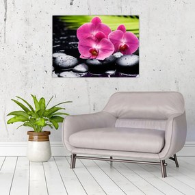 Obraz - Różowe orchidee z liściem palmy (70x50 cm)