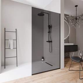 Ścianka prysznicowa Walk-In EX102-2 bezpieczne szkło szare Nano 10 mm