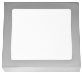 LED Plafon RAFA LED/18W/230V 2700K