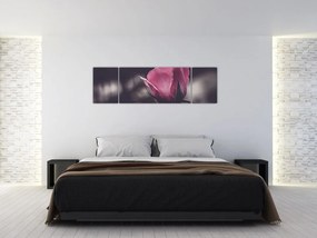 Obraz - Detal kwiatu róży (170x50 cm)