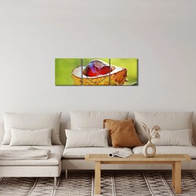 Obraz kasztanowów (z zegarem) (90x30 cm)