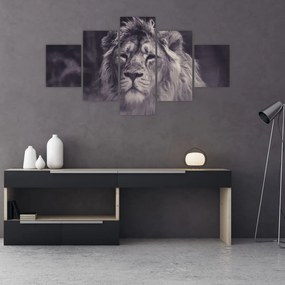 Obraz lwa (125x70 cm)