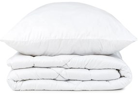 4Home Zestaw kołdry i poduszki Aloe Vera, 140 x 200 cm, 70 x 90 cm, 140 x 200 cm, 70 x 90 cm