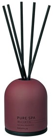 Dyfuzor Fraga: Cinnamon &amp; Apple – Blomus