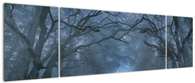 Obraz lasu we mgle (170x50 cm)